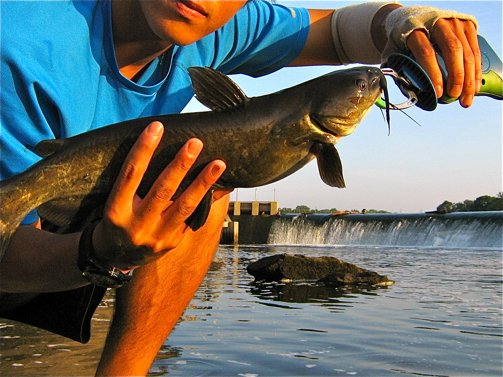 Extreme Philly Fishing Catfish Season is Open! "Catfishing" 101 Are