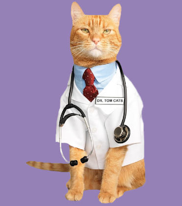 DR. TOM CATS