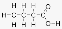 Butanoic acid carbon compound class 10