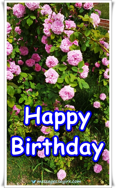 Happy birthday rose greeting card