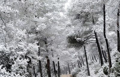 Οι καλύτερες φωτογραφίες της φύσης το 2012