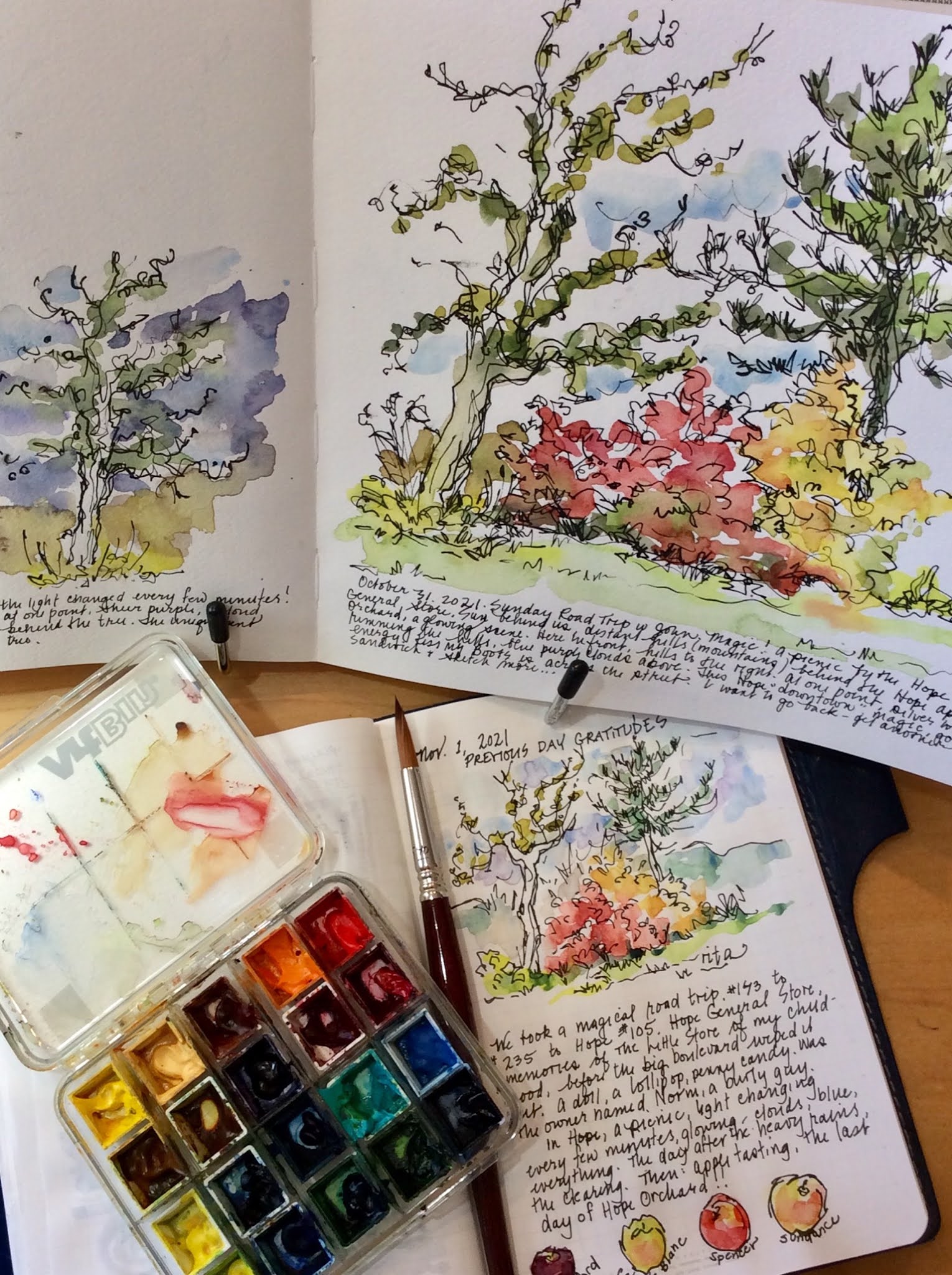 Sketchbook Wandering