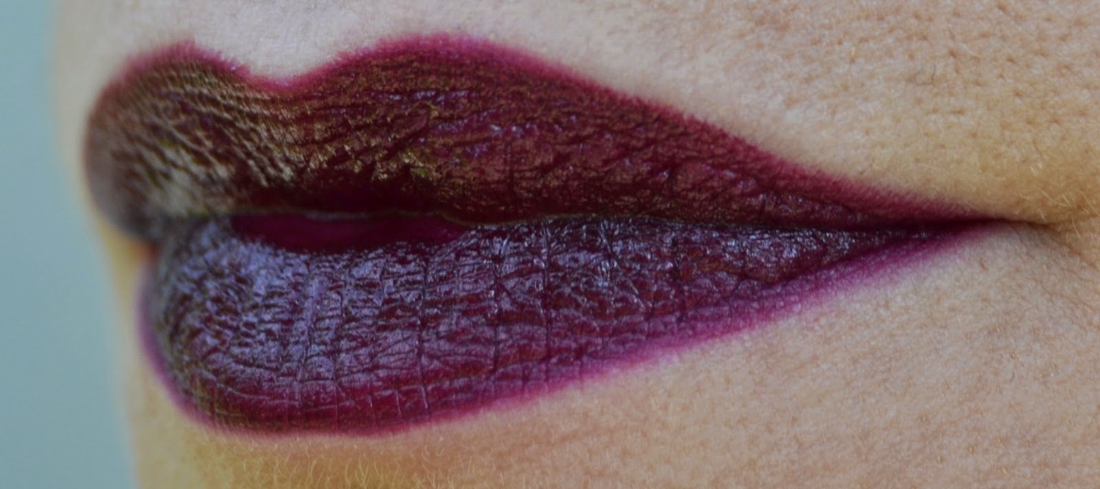 VanityRoom Lipstick Face Stockholm Eggplant Swatches e Review