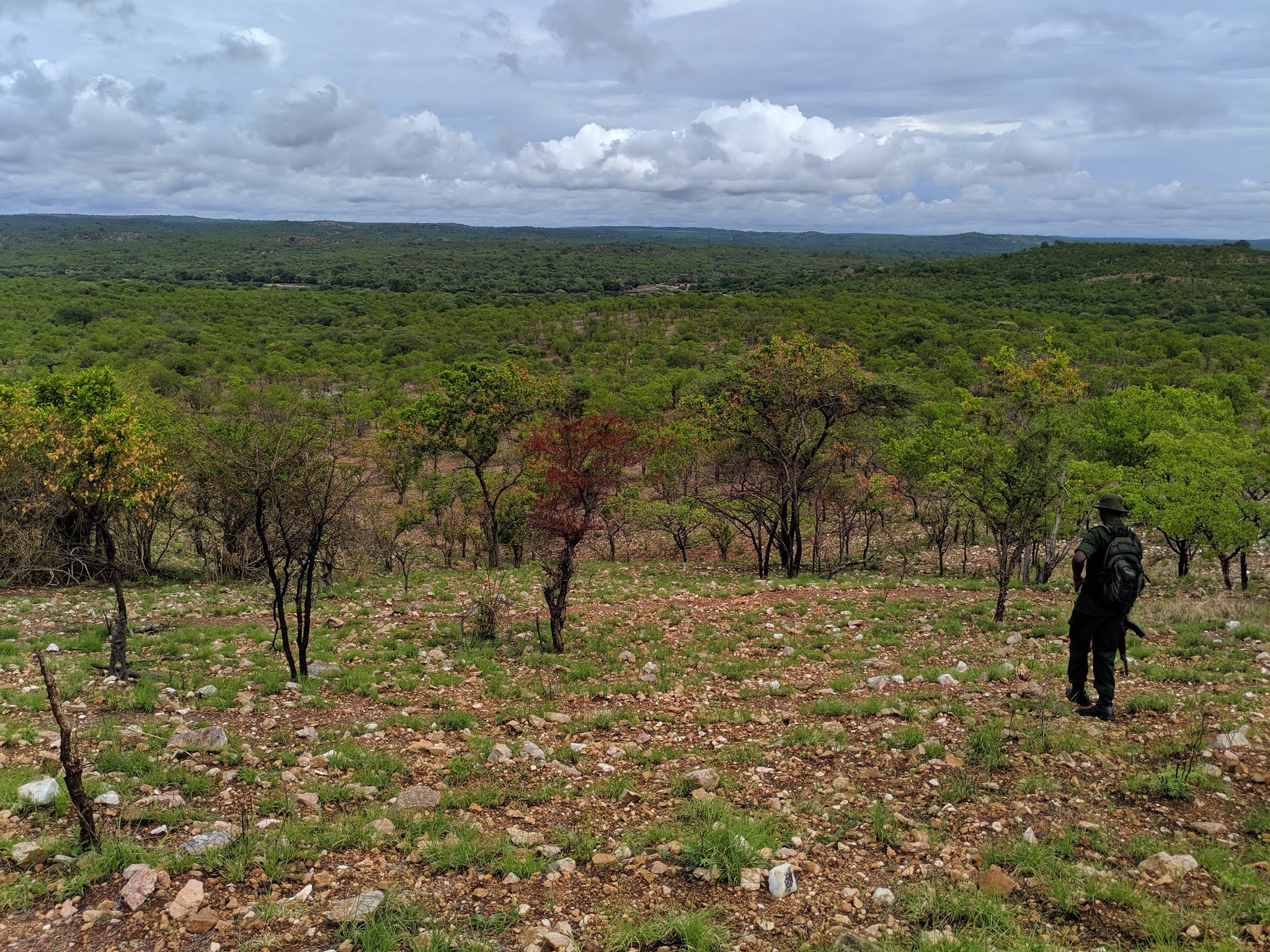 Times in Tanzania Rainy season at home