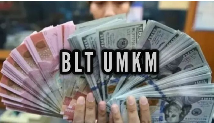 SIMAK ! Inilah Alasan Tak Dapat BLT UMKM, Cek Syarat BLT ...