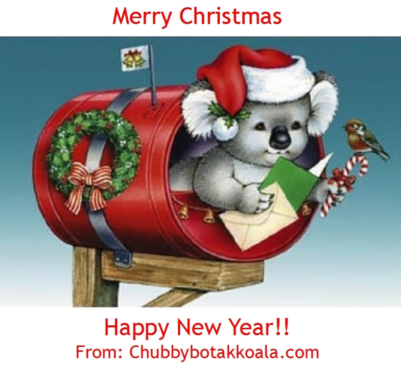 Chubby Botak Koala - Singapore Food Blog, Travel and Lifestyle: Merry