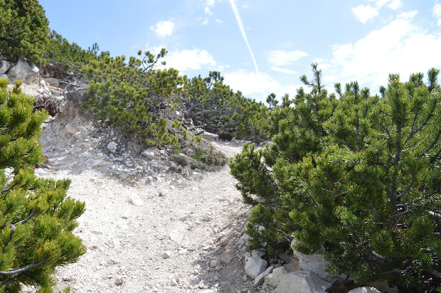 corno bianco passo oclini