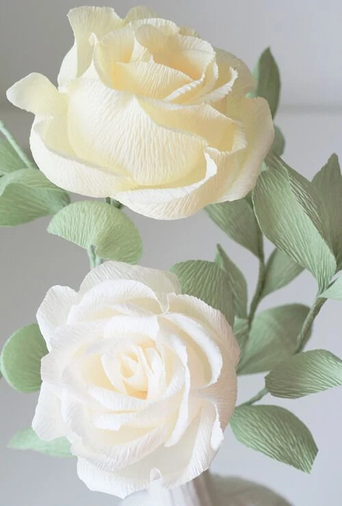 two ivory crepe paper roses with green leaves