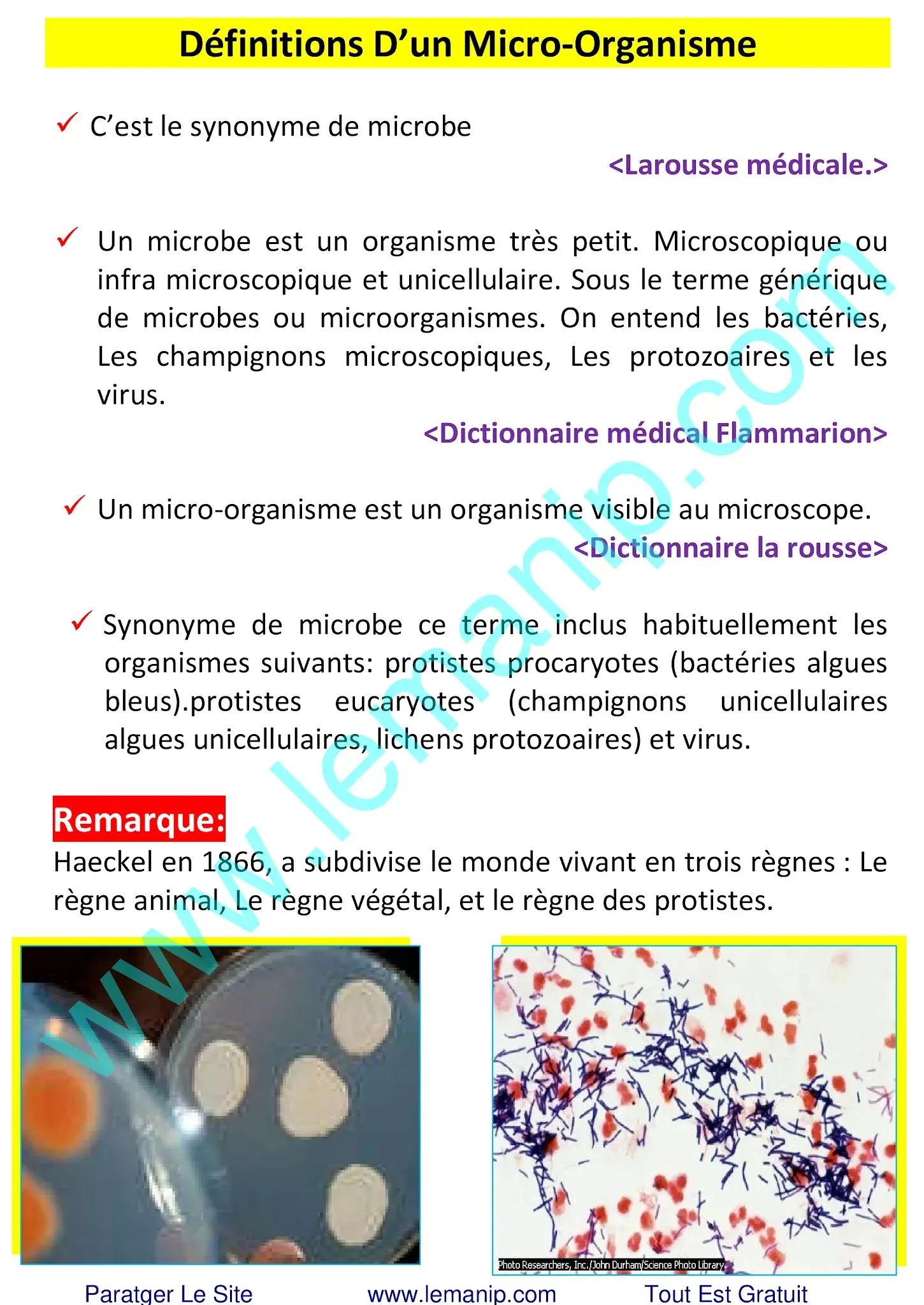 Définitions D’un Micro-Organisme