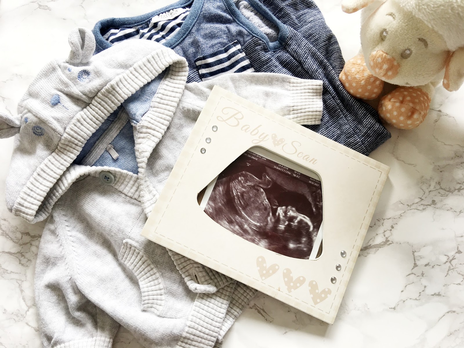 20 Weeks Pregnancy Update and Gender Reveal