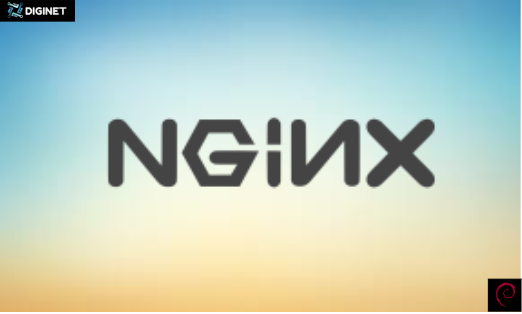 Os net. Nginx logo. Nginx icon. Веб сервер nginx. Nginx logo svg.