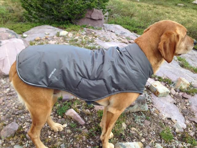 quinzee dog jacket