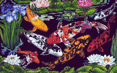 Gambar Ikan Koi Animasi Bergerak Lucu Fish Wallpaper HD 