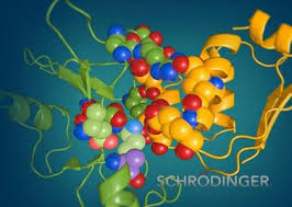 Schrodinger Crack Download Schrodinger Crack Download