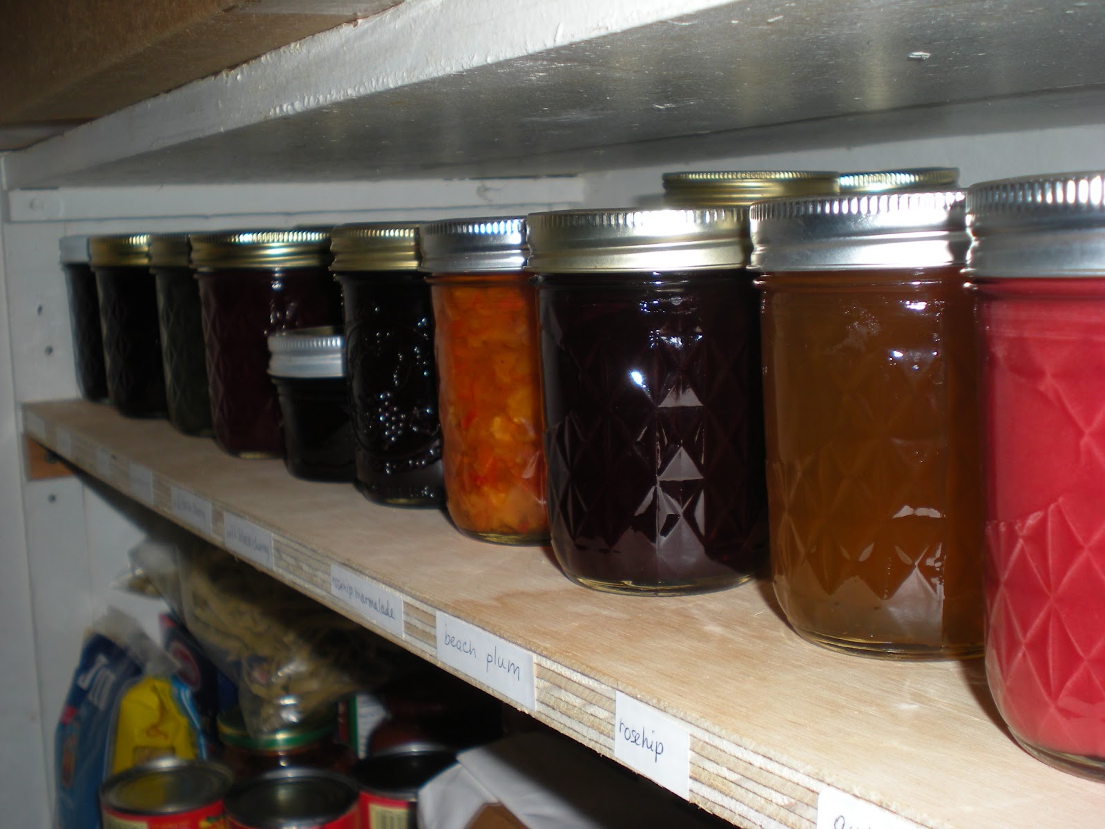 The 3 Foragers Foraging for Wild, Natural, Organic Food Preserving