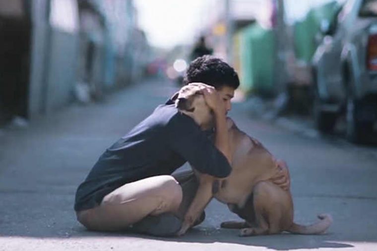 Mujeres que hacen el amor con los perros