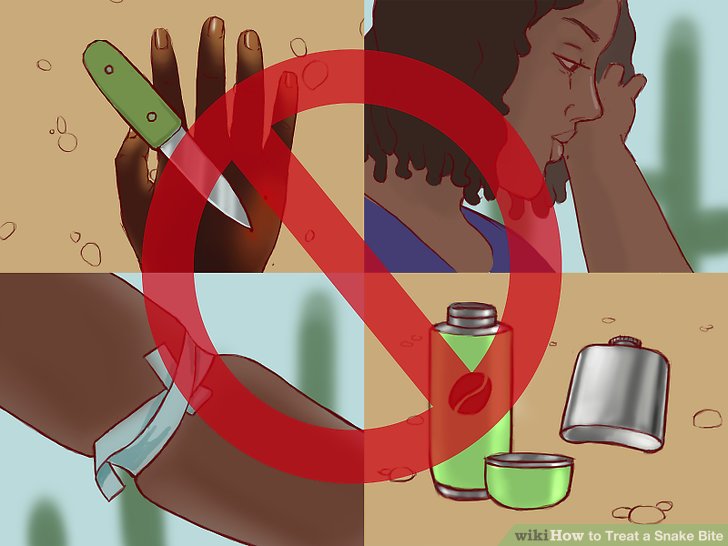 On People and Snakes Snakebite First Aid for lay people A Systematic