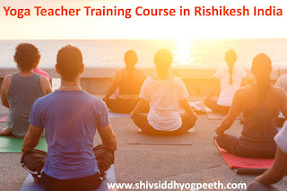 Hatha Yoga Teacher Training School In Rishikesh India