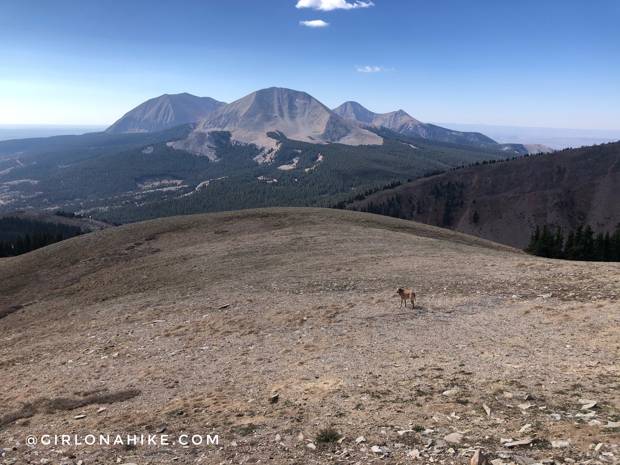 Hiking to Mt.Tomasaki, LaSal Mountains Girl on a Hike