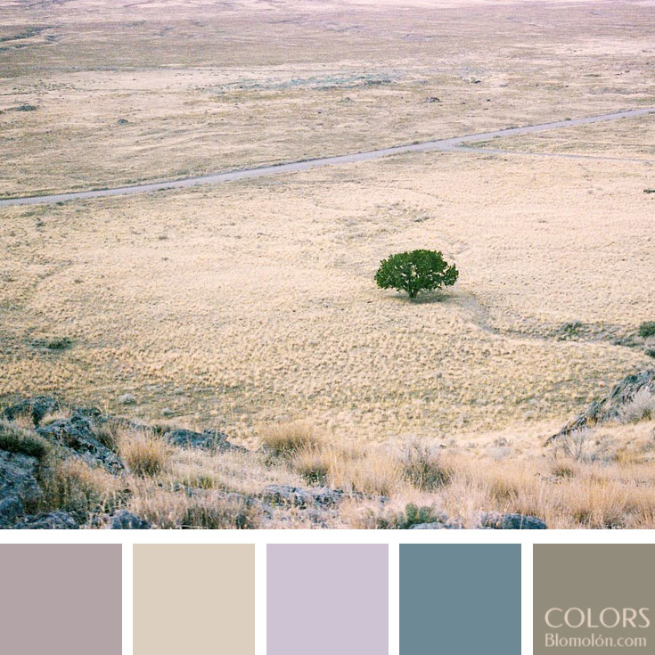 variedad en color paletas de colores 100 variedad_en_color_paletas_de_colores_100