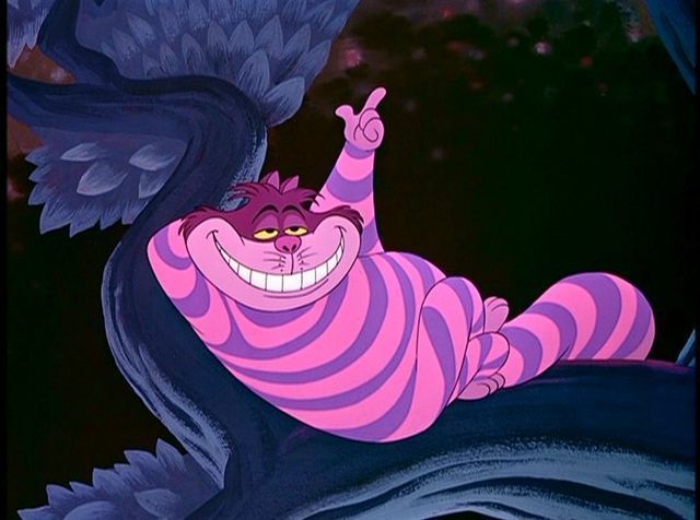NUNCAJAMAS COCKER: EL GATO DE CHESHIRE