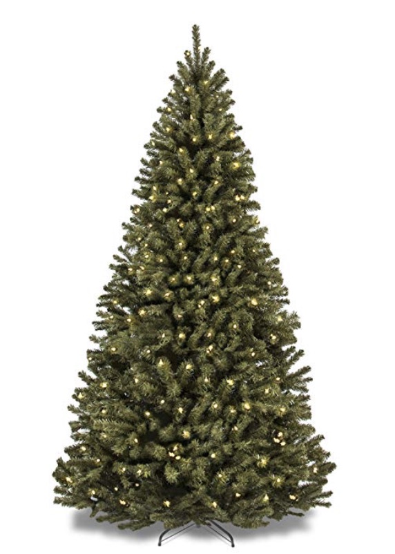 Christmas Tree Allergy (Mold and Pollen Studies) Fauquier ENT Blog