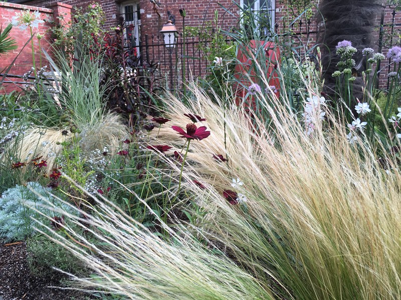 Jardin noir et blanc