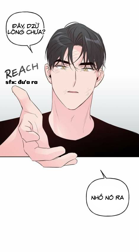 Đọc truyện Assorted Wildness - Chapter 40