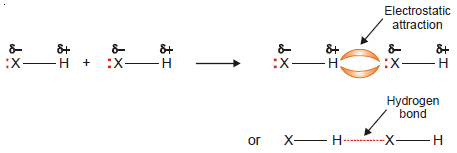 Hydrogen Bonding: Definition, types, Examples, Characteristics