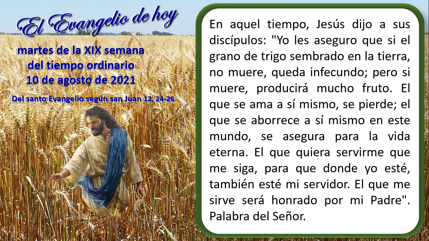 "MI PARROQUIA DE LOS DOCE APÓSTOLES" EL EVANGELIO DE HOY. 10 DE AGOSTO