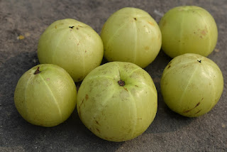 Amla, Vitamin C