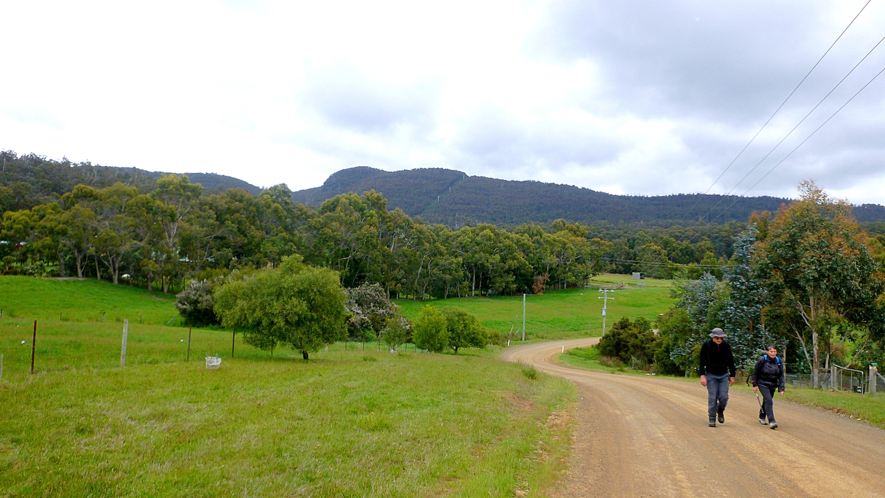 Ramblings: Nierinna Creek Tramway Hill Margate Rivulet 2015