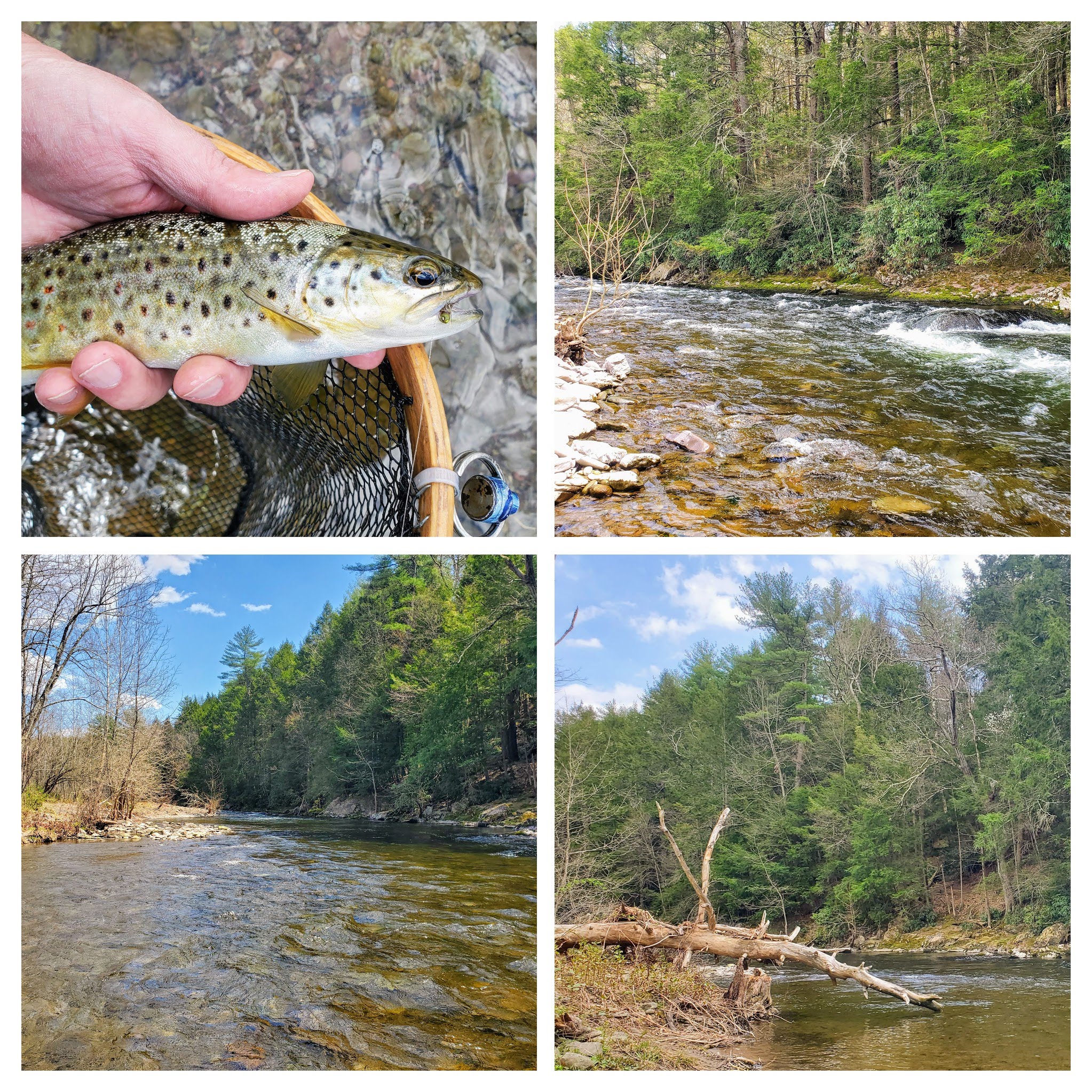 Sick Days Fishing April 20, 2021 A Great Birthday Present to Myself