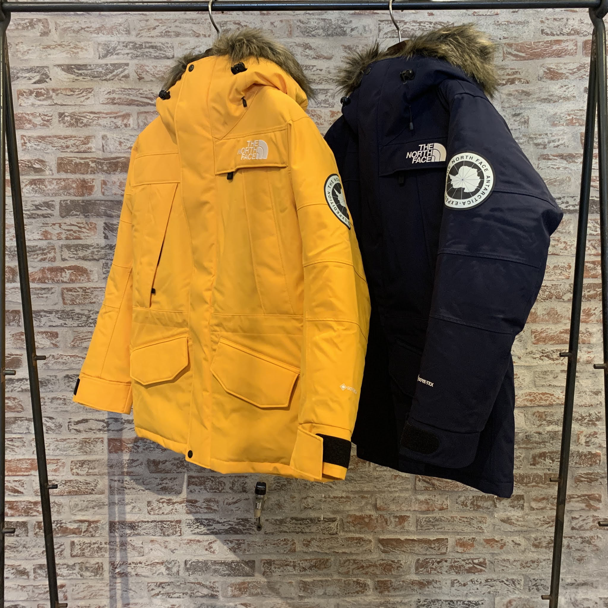 northface antarctica parka