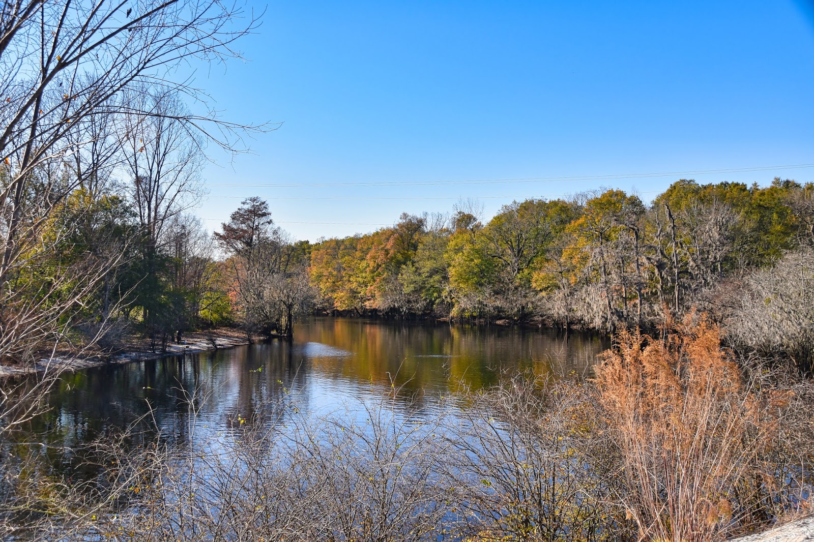 Royal Town Rambles Kingstree Crown of the Black River