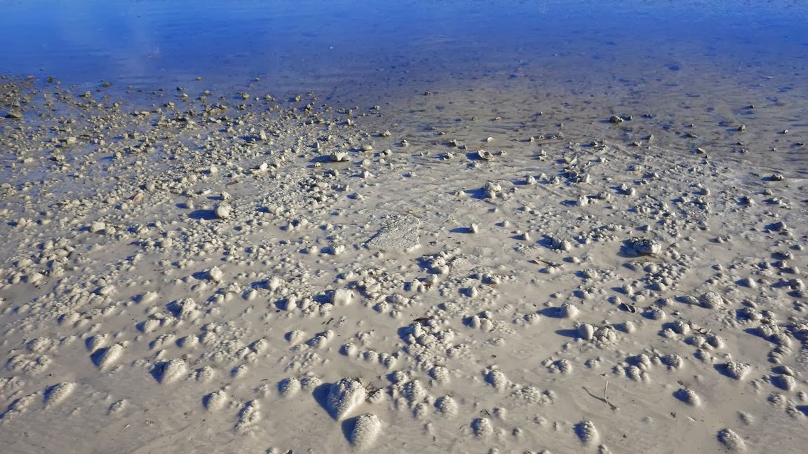 Dave'n'Kathy's Vagabond Blog Beach & Bingo in Biloxi