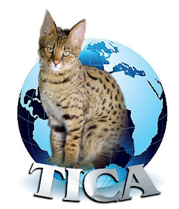 TICA Registered Cattery