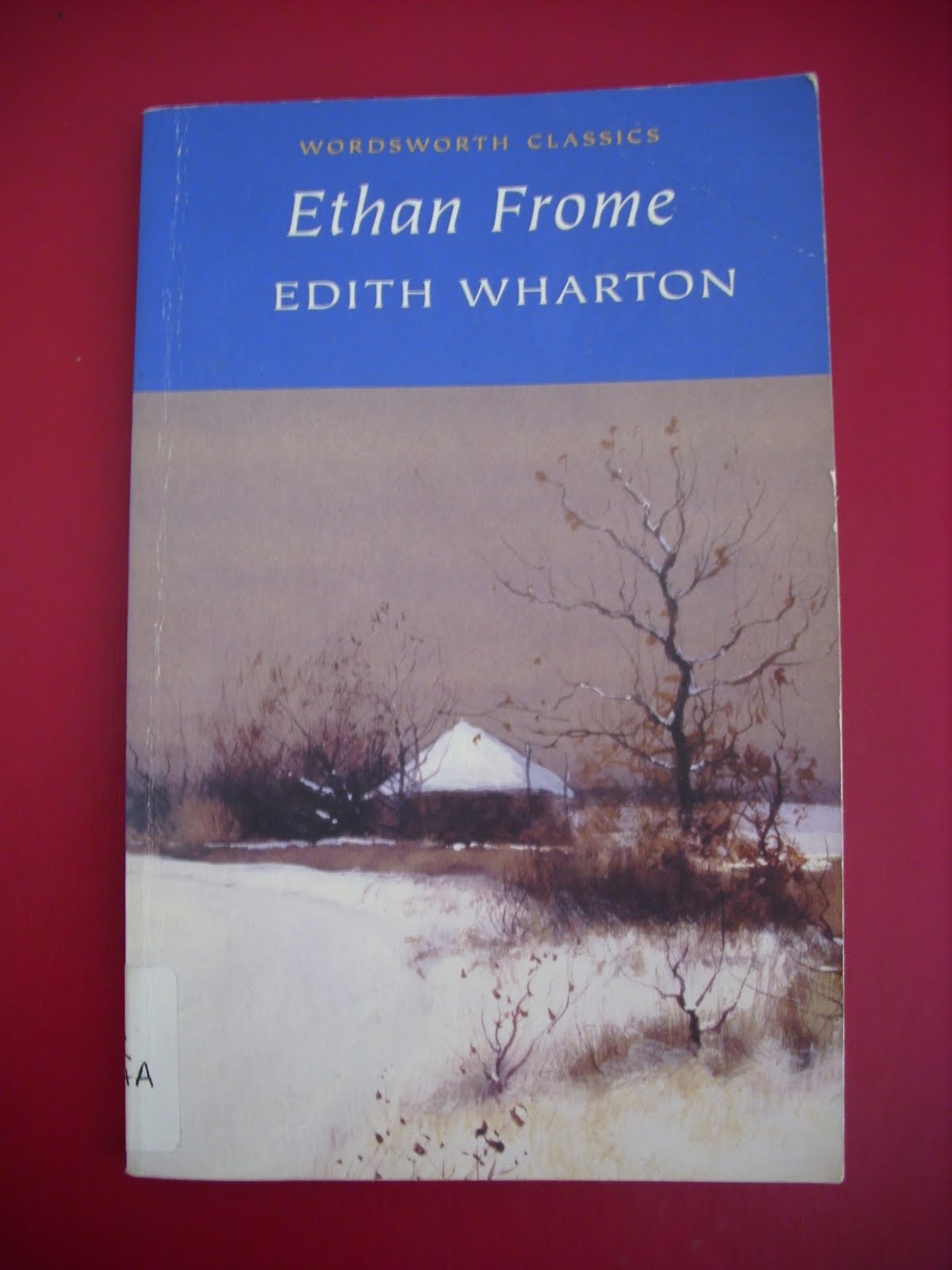 Ethan Frome Critical Essays