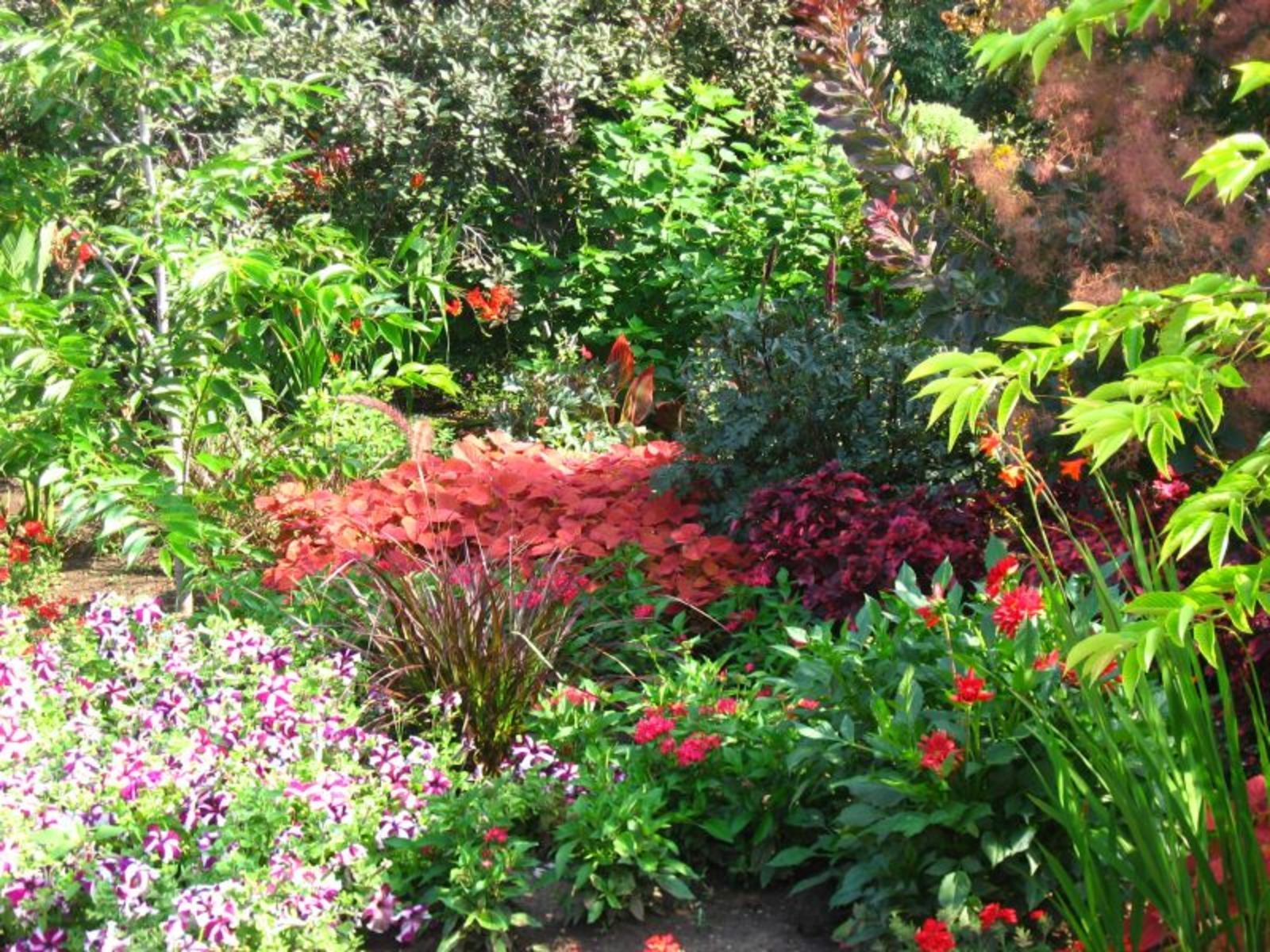 3d flower garden | 3D Wallpaper Box