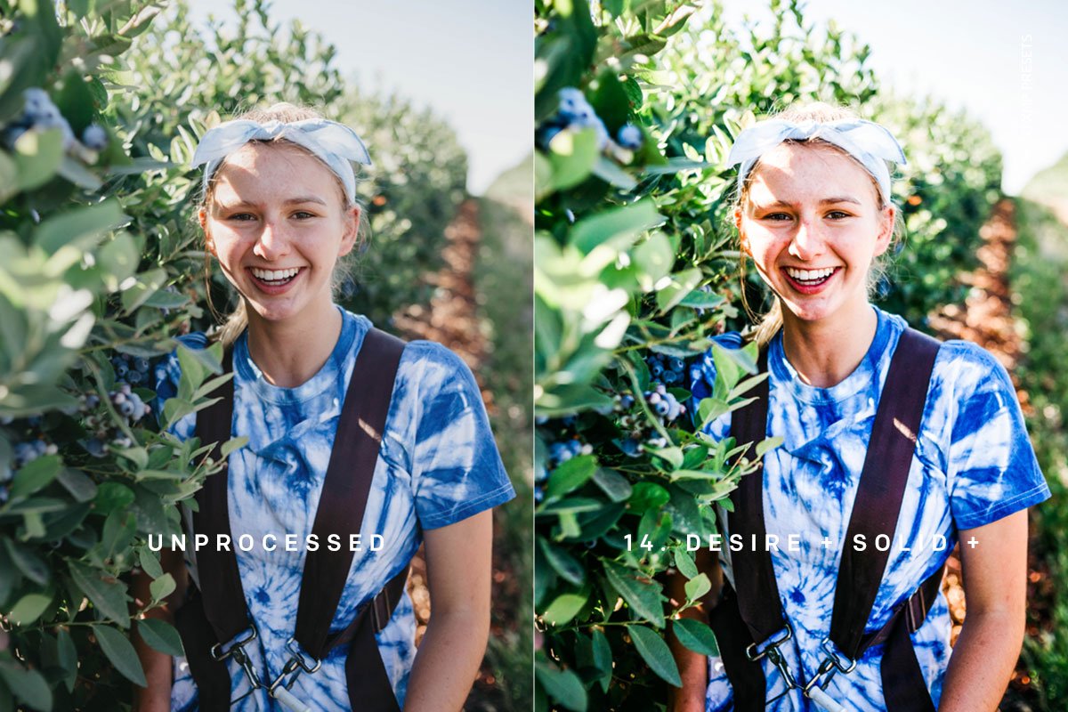 Camera Raw Presets – Desire XMP Presets (XMP)
