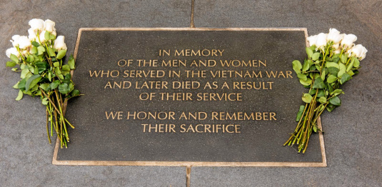 Agent Orange Zone: In Memory Program 2021 Deadline Fast Approaching