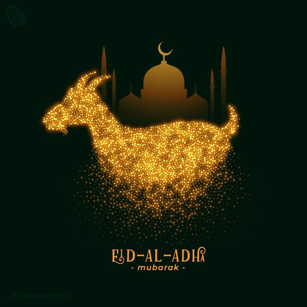 Happy Eid Al-Adha 2023 Wishes, Images, Quotes, Photos {Bakra Eid Mubarak }  