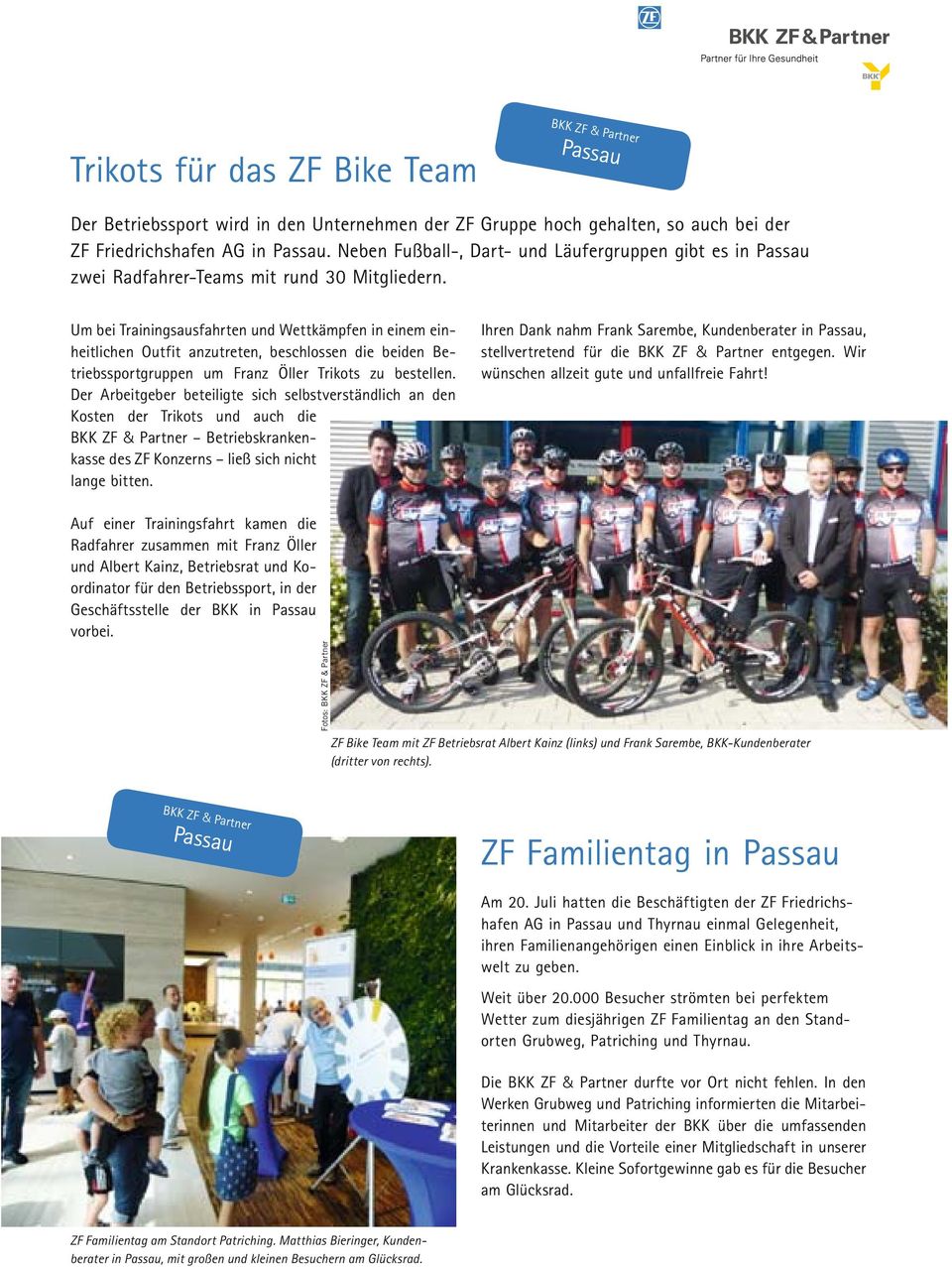 bkk zf und partner woodenbild )
