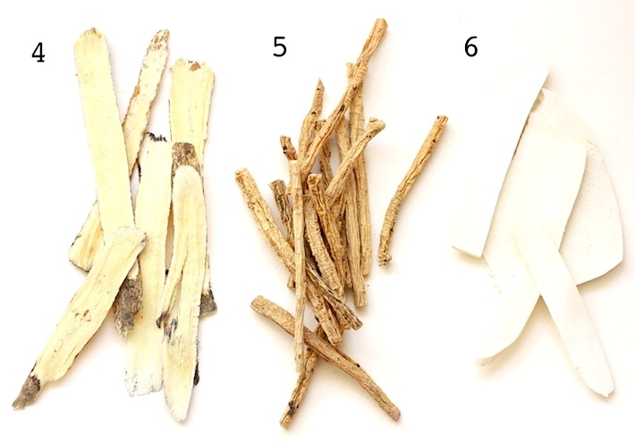 guide to alternative medicine herbs like milkvetch root, pilose asiabell root, nagaimo