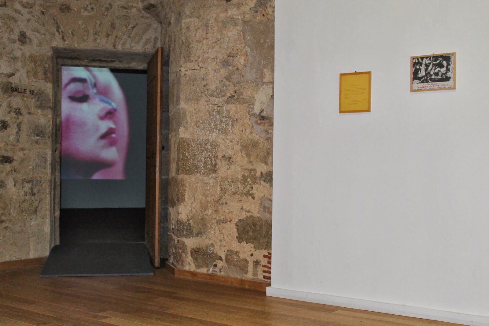 Carolee Schneemann les prismes cinétiques de l'histoire