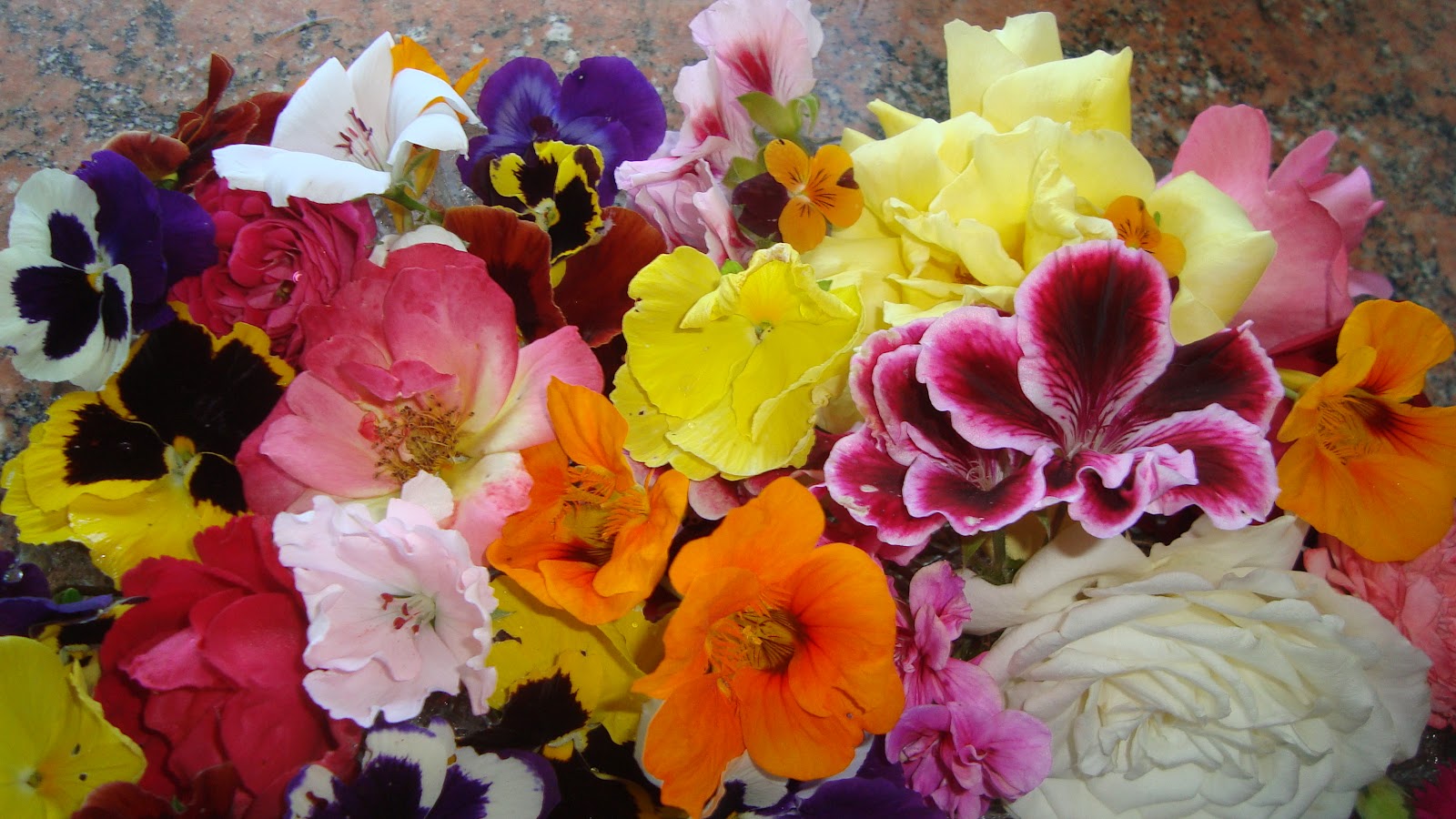 Blog de recetas de cocina caseras Flores comestibles, una DELICATESSEN gastronómica