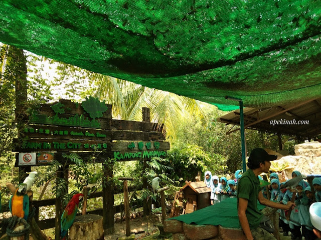 Farm In The City Di Seri Kembangan Farm In The City Di Seri Kembangan