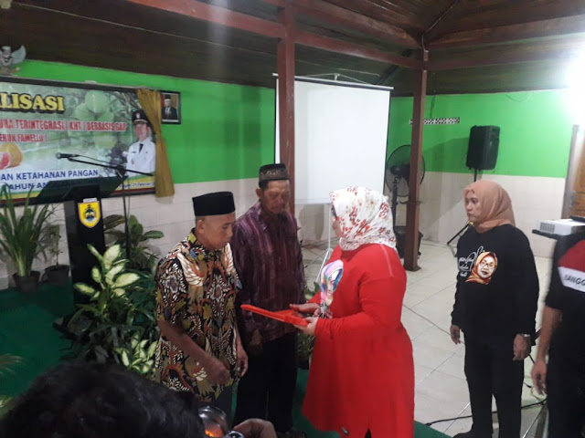Bupati Serahkan Bibit Jeruk Pamelo Di Gemolong