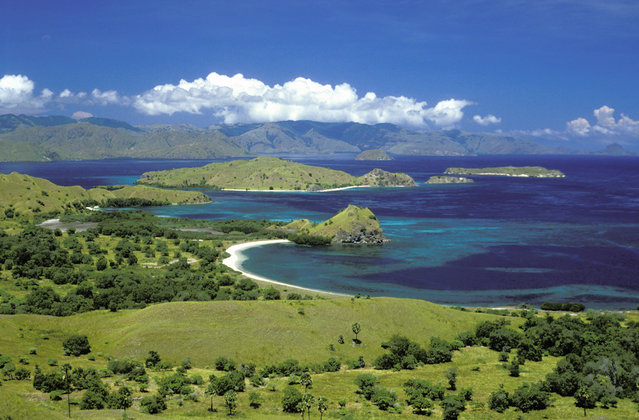 PARQUE NACIONAL DE KOMODO TODO PARA NANOS