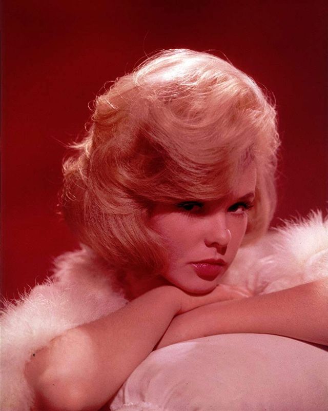 Joey Heatherton: American Sex Symbol of the 1960s and 1970s.